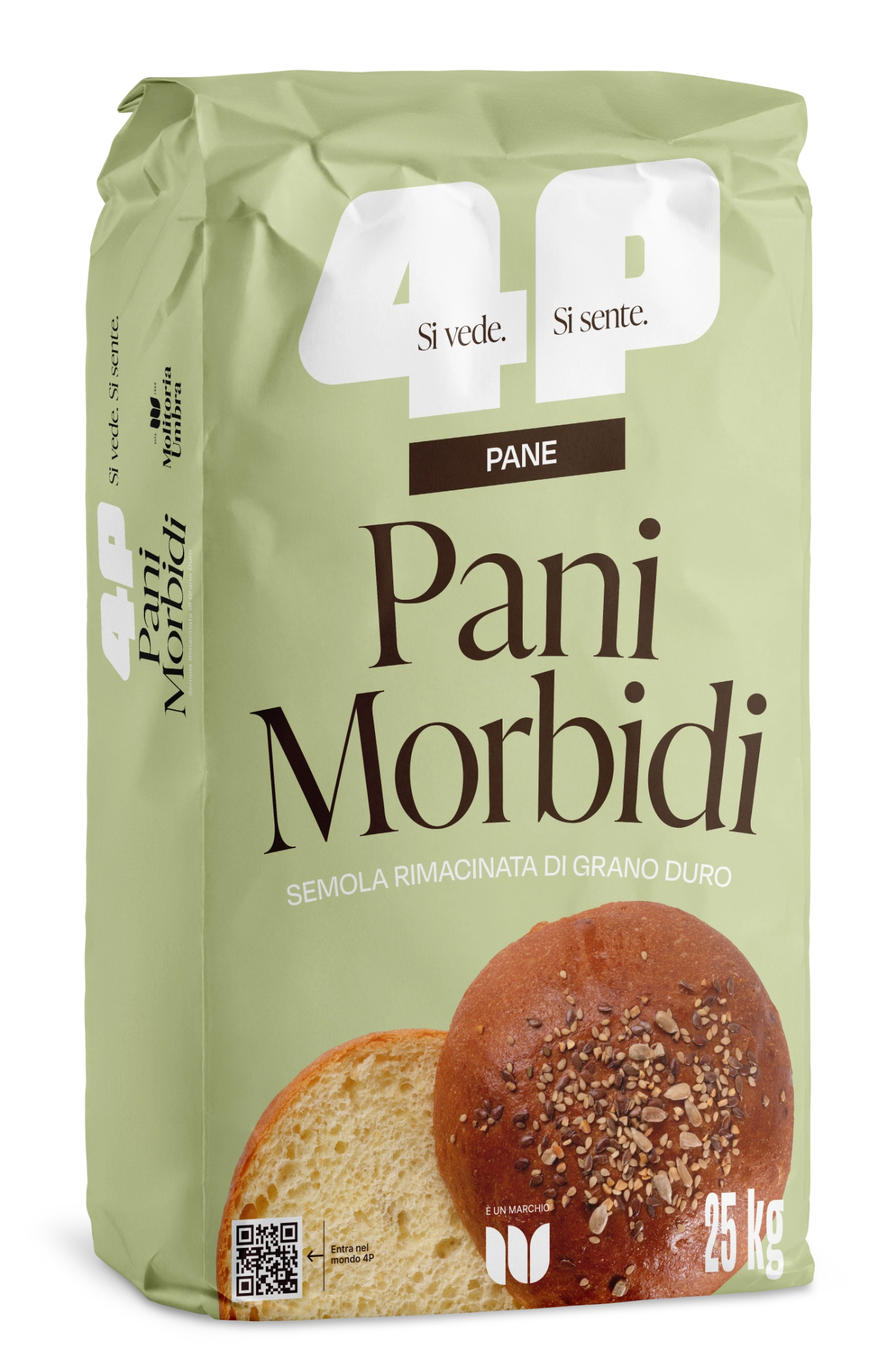 Pani Morbidi